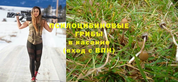 прущая мука Алзамай
