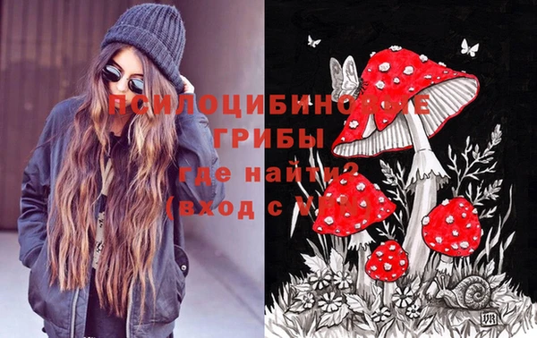 прущая мука Алзамай